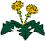 img039.gif