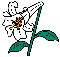 img043.gif