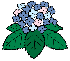 img021.gif