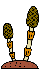 img037.gif