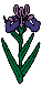 img046.gif