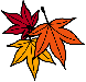 img047.gif