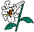 img048.gif