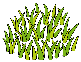 img004.gif