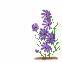 img007.gif