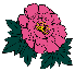 img019.gif